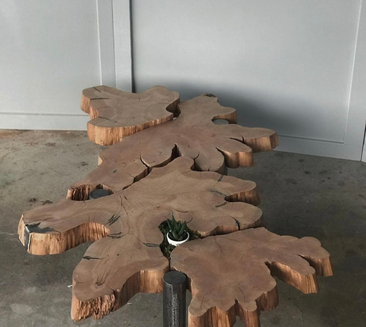 Live Edge Coffee Table