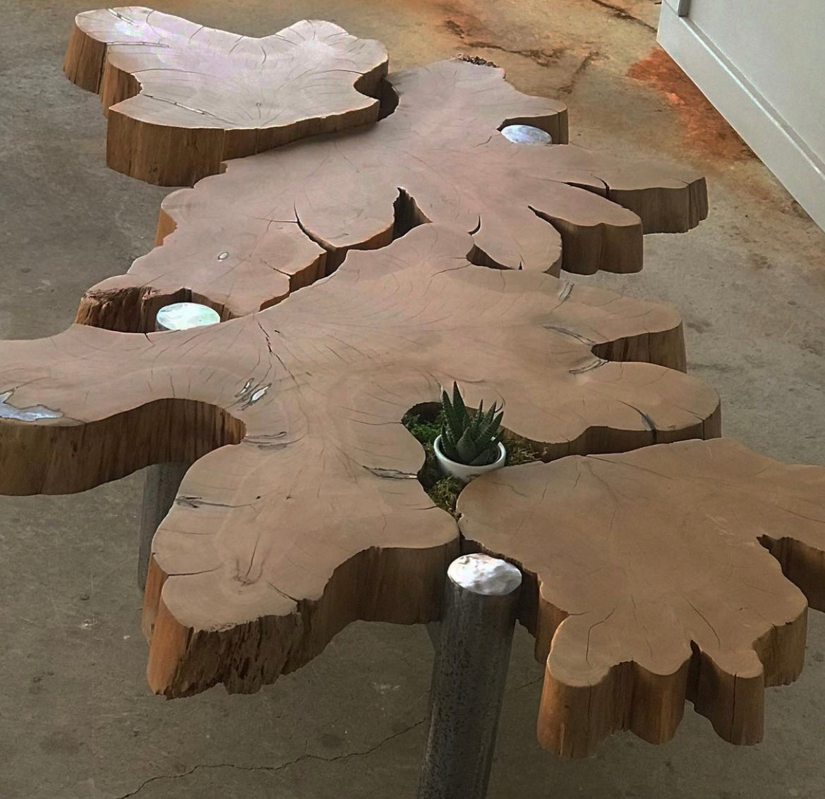 Live Edge Coffee Table