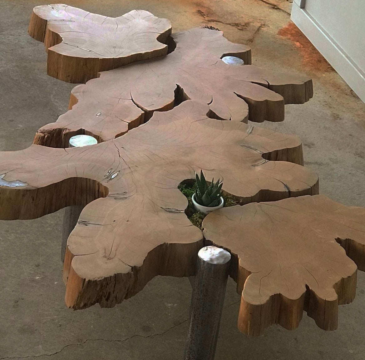 Live edge store root coffee table